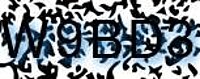grafischer Sicherheitscode