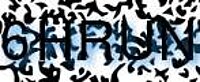 grafischer Sicherheitscode