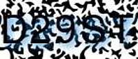grafischer Sicherheitscode