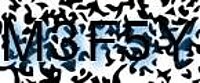 grafischer Sicherheitscode