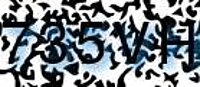 grafischer Sicherheitscode